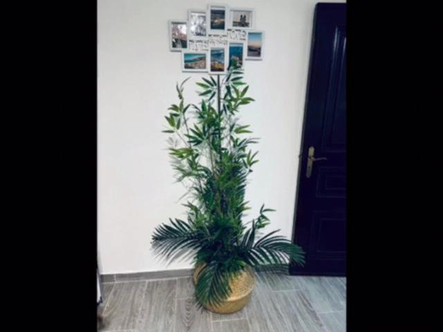 Casinha Da Palmeira 纳扎雷 外观 照片